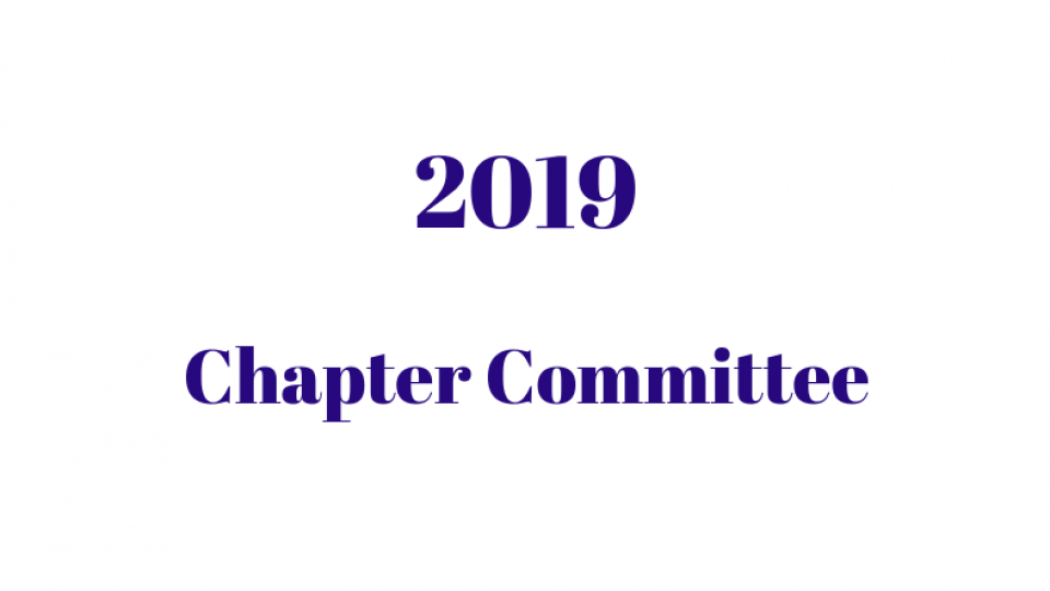 SA/NT Chapter Committee 2019