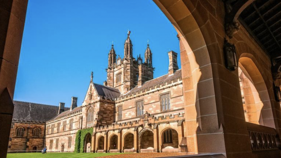University Info Days